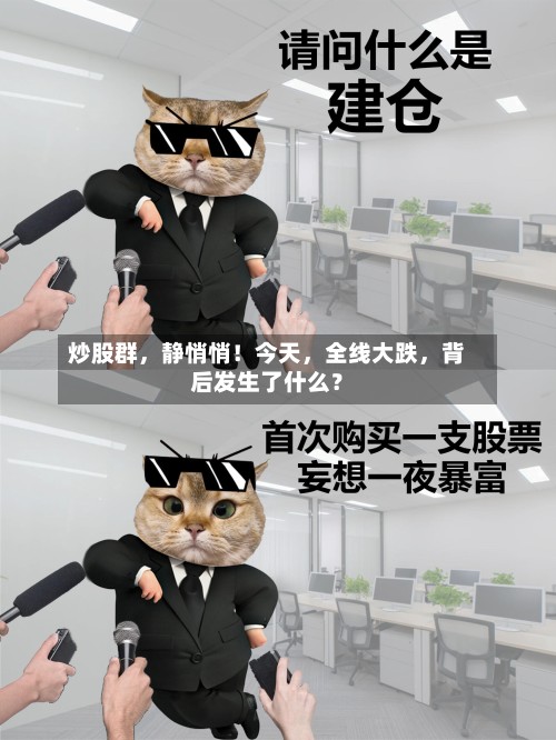 炒股群	，静悄悄！今天，全线大跌，背后发生了什么？-第2张图片